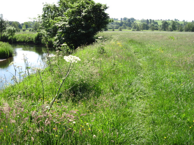 Footpath towards Snelston by River Dove - geograph.org.uk - 1916968