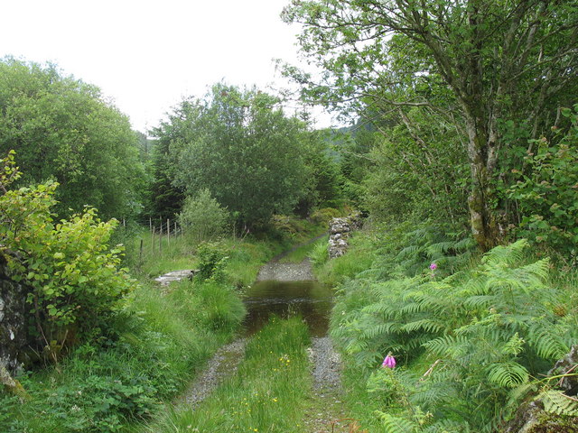 File:Forest track footbridge over stream - geograph.org.uk - 499151.jpg