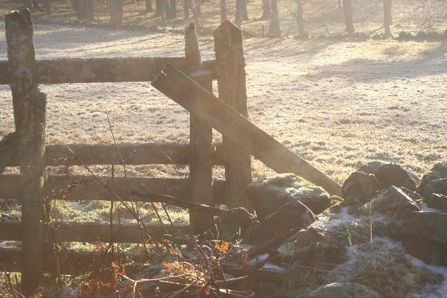 File:Frosty gate - geograph.org.uk - 99621.jpg