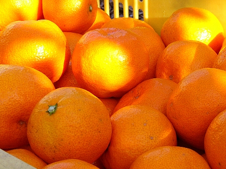 File:Harvest of MIKAN.jpg