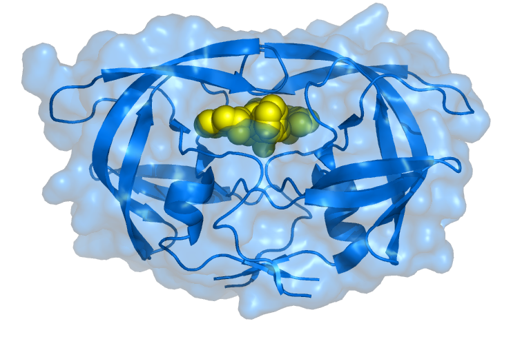 File:Hiv-1 pdb 1ebz.png