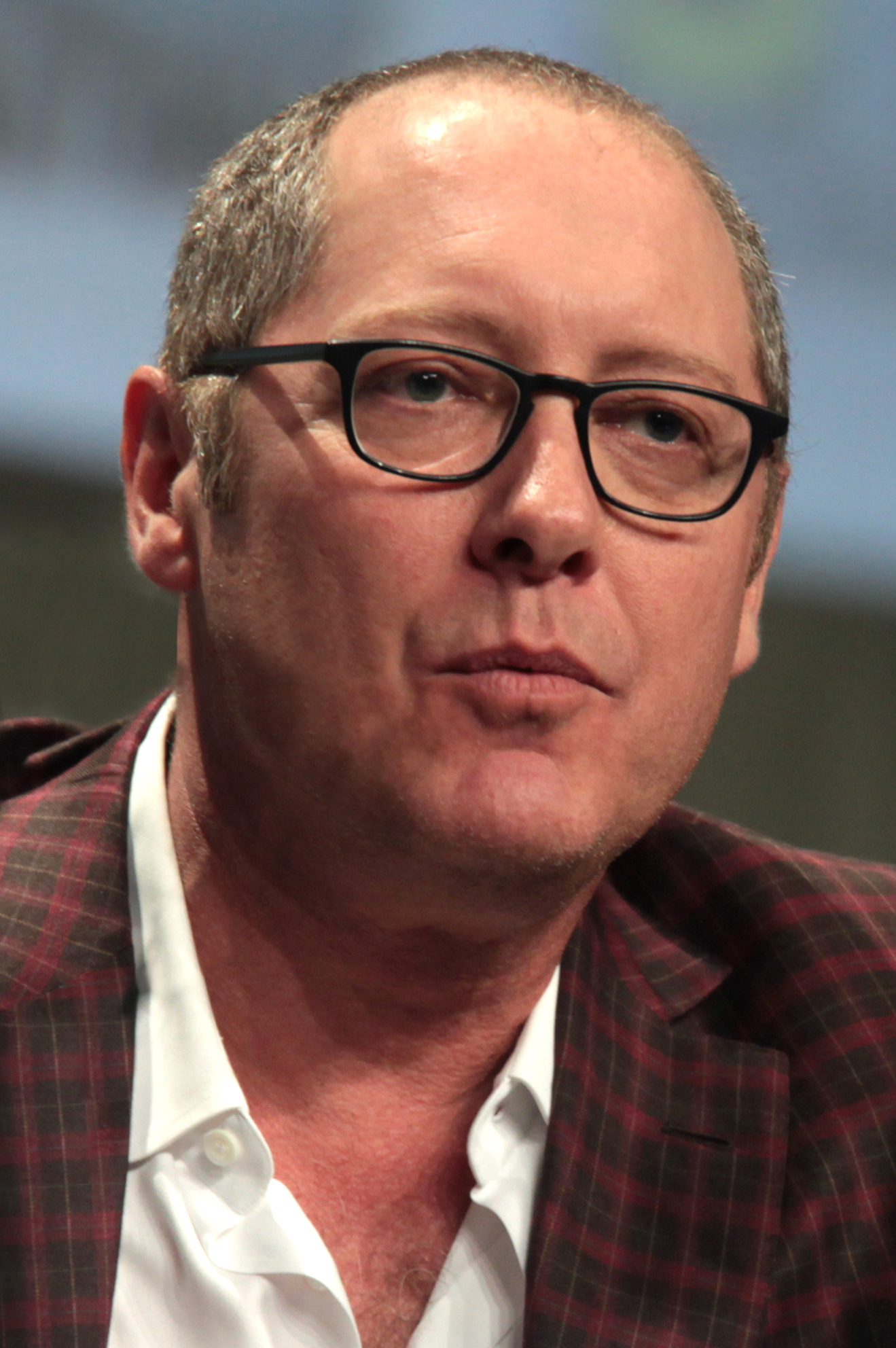 Spader at the 2014 [[San Diego Comic-Con]]