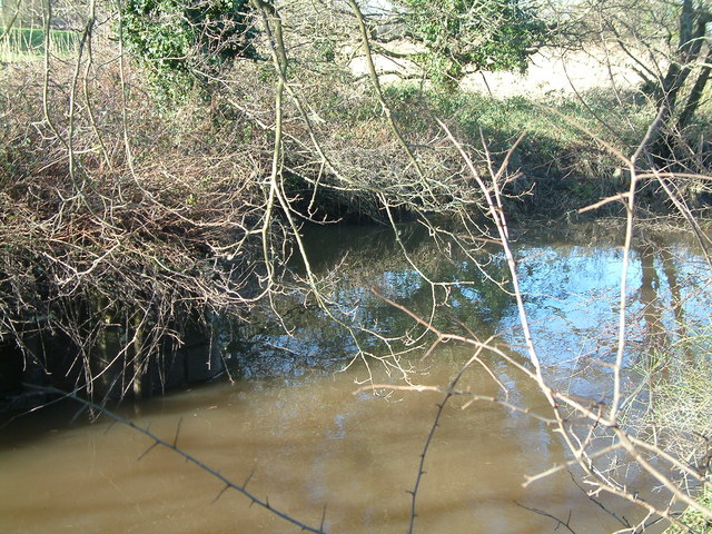 File:Jetty Marsh, Newton Abbott - geograph.org.uk - 418725.jpg