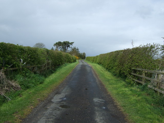 File:Minor road towards Middle Ord - geograph.org.uk - 4459768.jpg