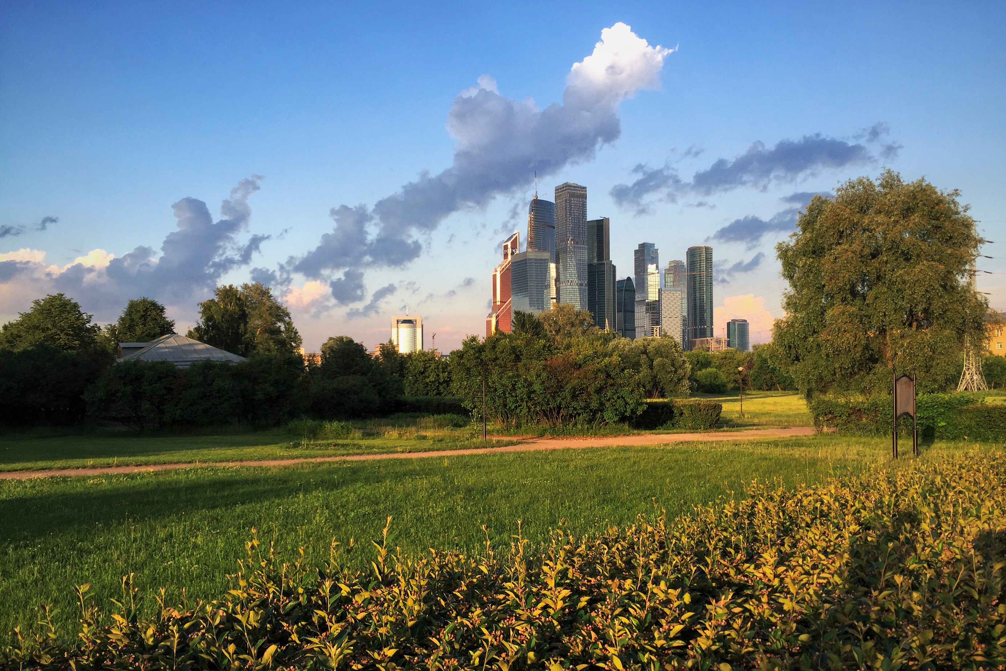 Москоу гарден. Фили Гарден. City Garden, Москва. Ботсад рядом с Москва Сити. Ноев сад в Москве.