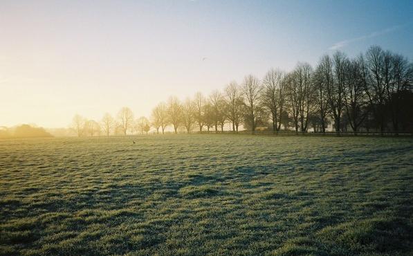 File:Near Burrow Farm - geograph.org.uk - 89616.jpg