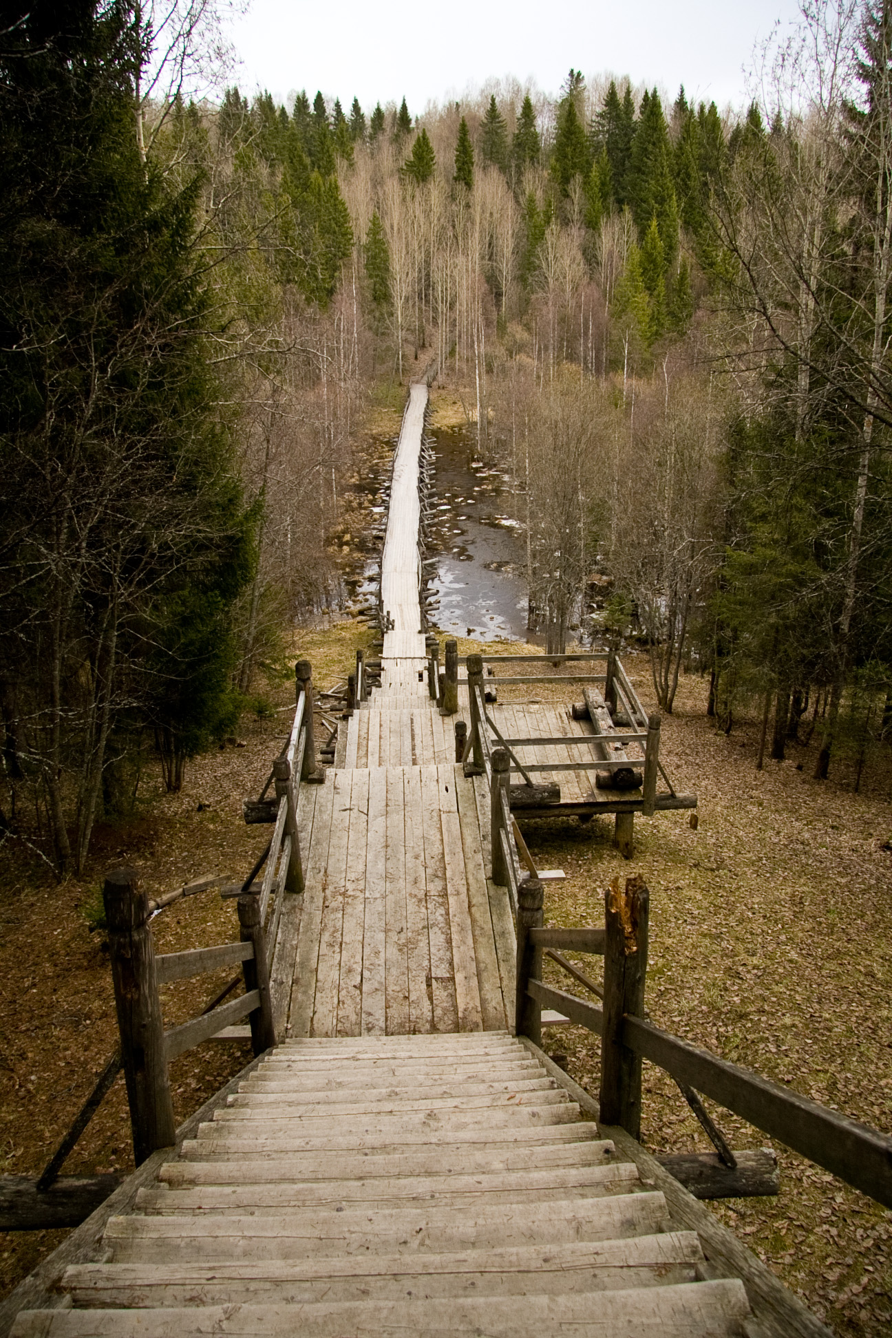 Северодвинск малые Корелы. Дорогу осилит идущий фото. Old tracks