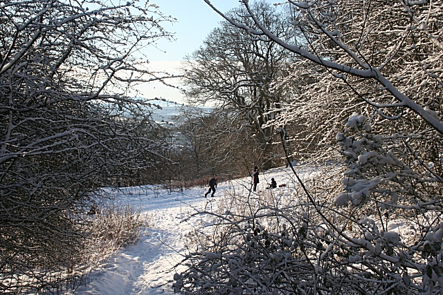 File:On Corstorphine Hill - geograph.org.uk - 1659367.jpg