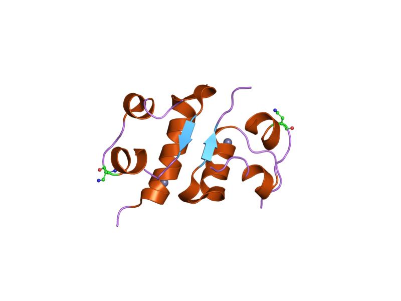 File:PDB 1j73 EBI.jpg