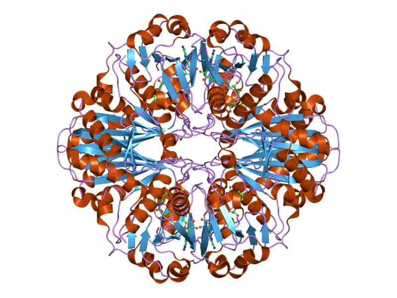 File:PDB 1znq EBI.jpg