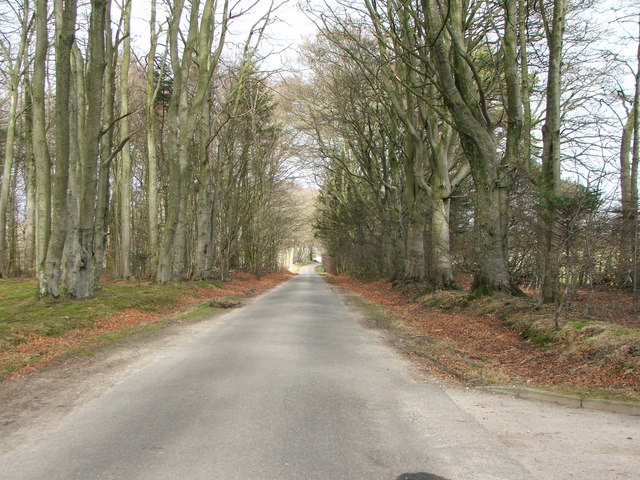 File:Parkburn Belt - geograph.org.uk - 1215668.jpg