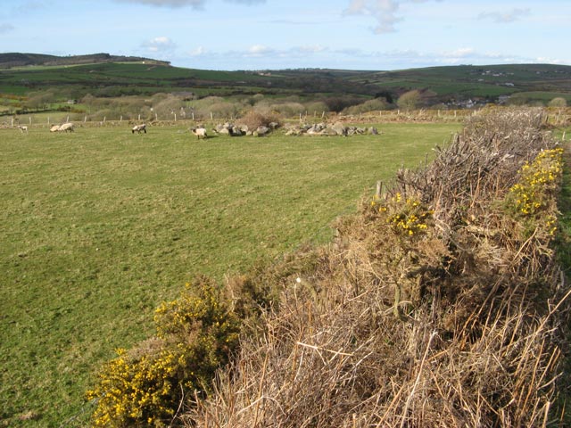 File:Sheep pasture - geograph.org.uk - 1803952.jpg