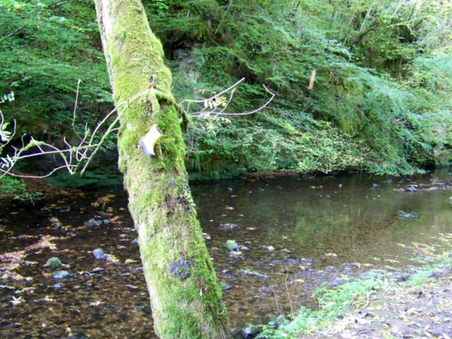 File:The Alyth Burn, Den o' Alyth - geograph.org.uk - 1538576.jpg