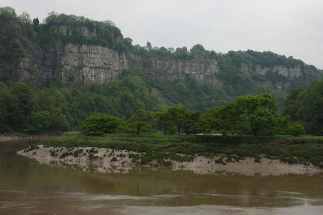 File:Trees on the banks of the River Wye - geograph.org.uk - 803261.jpg