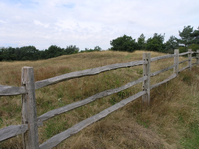 File:Tumuli in a field - geograph.org.uk - 36321.jpg