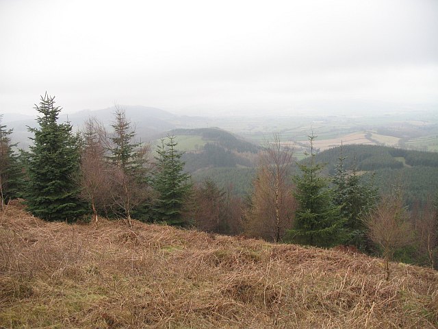 Vale of Wigmore, from the High Vinnalls - geograph.org.uk - 964555