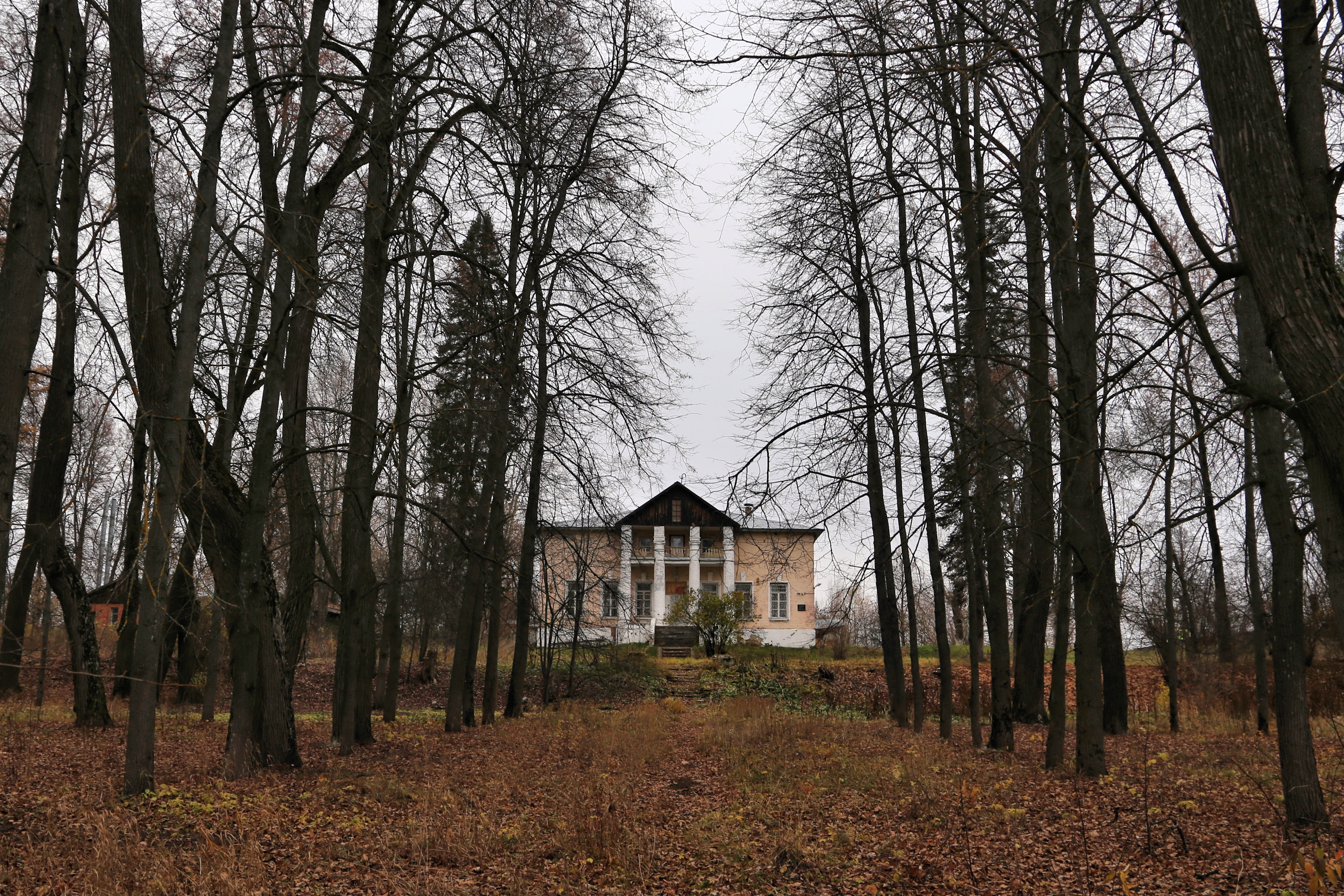 Сад талицы. Усадьба Талицы. Талицы усадьба Семин.