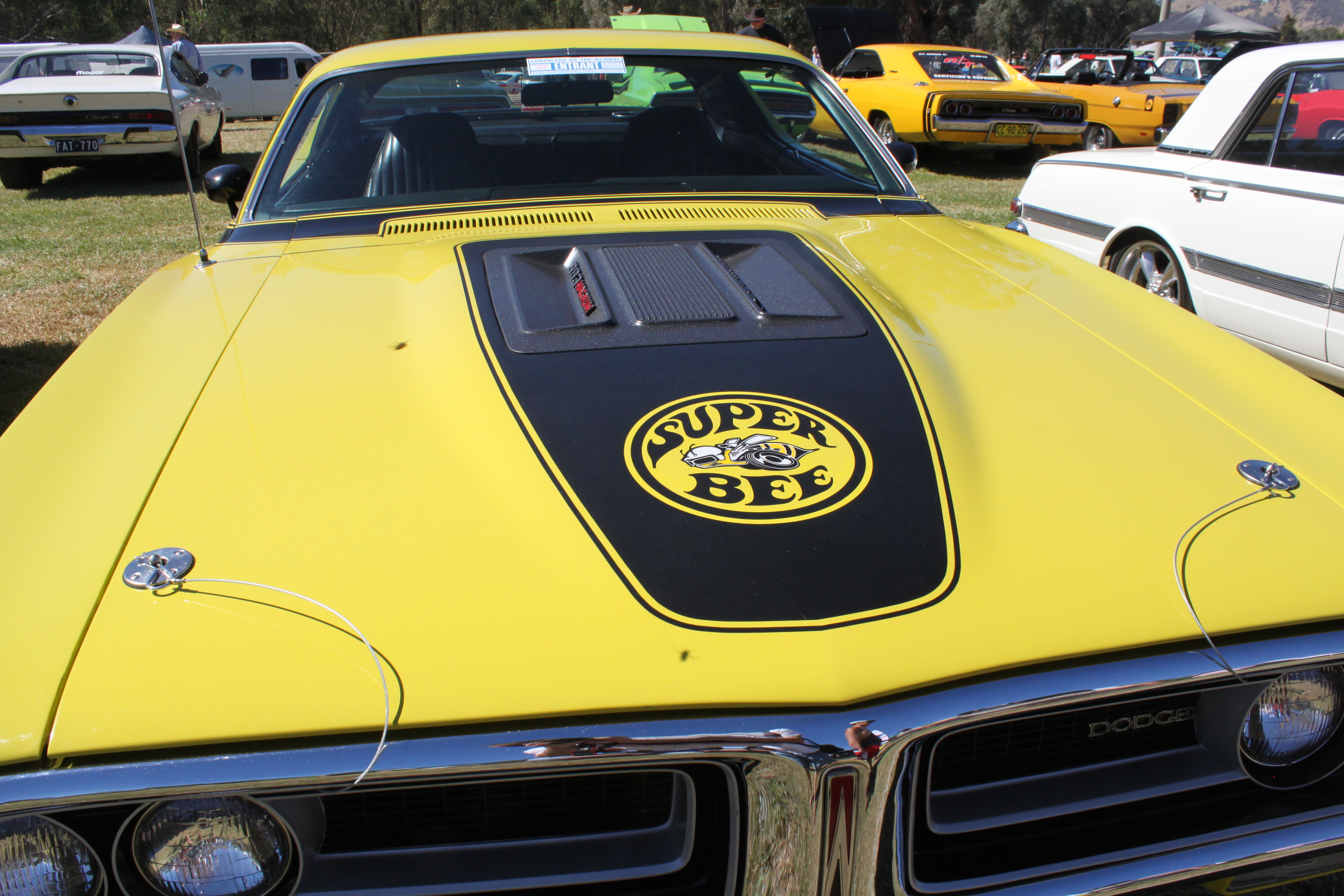 File:1971 Dodge Charger Super Bee (16368030743).jpg - Wikimedia Commons