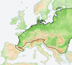 Karttaperhosen levinneisyys Euroopassa