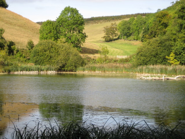 Arundel Park