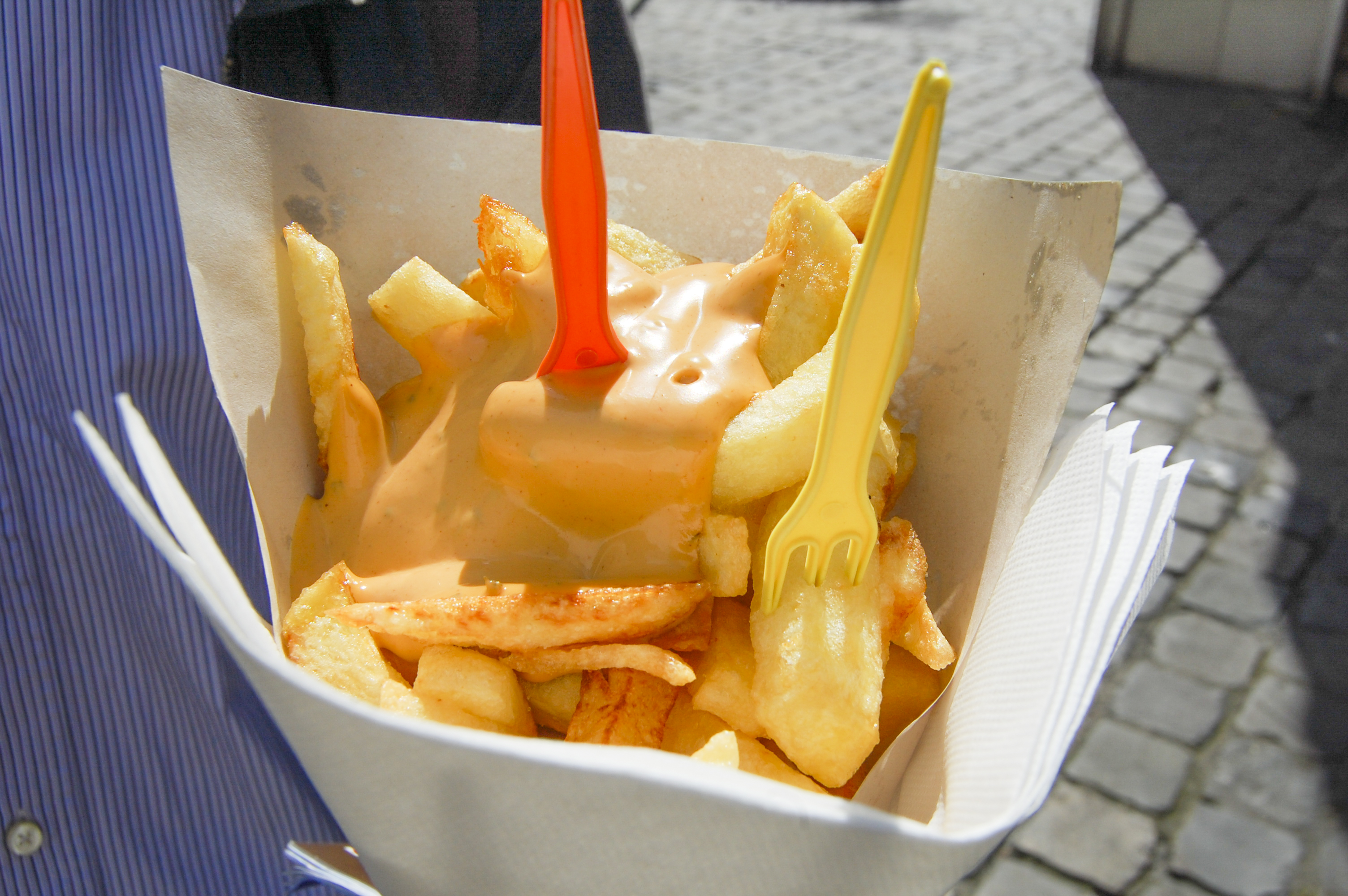 Belgian fries with sauce andalouse