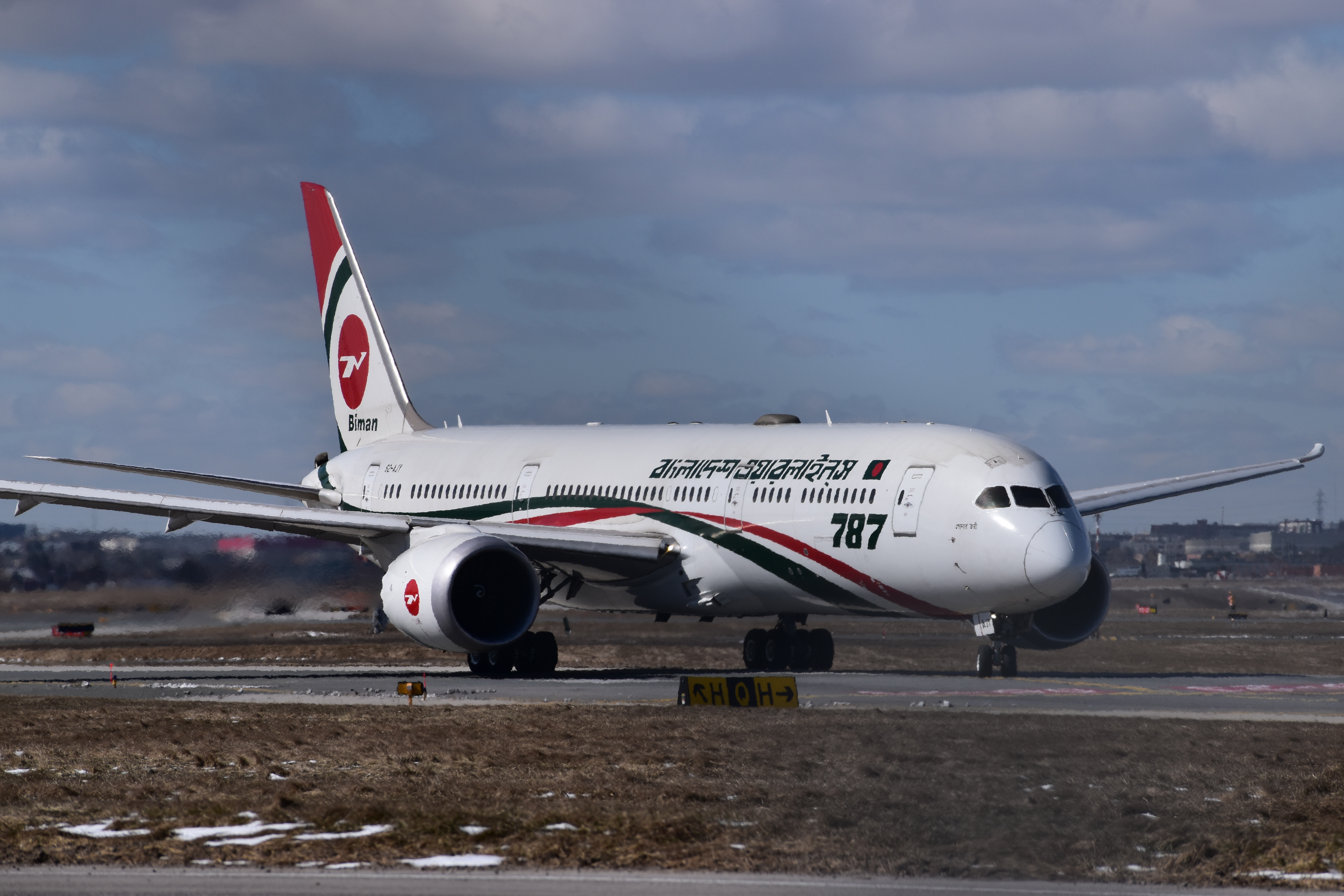 Airports pro. Фото самолета Боинг 787-900 бело черный нарисованный.