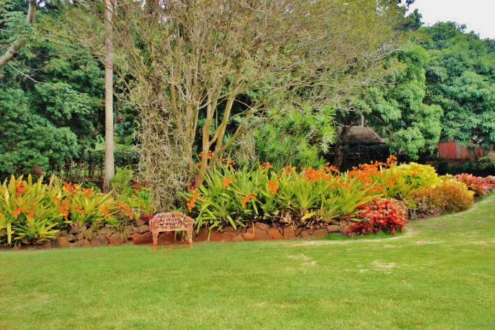 File Botanical Gardens Kauai Hawaii Panoramio 29 Jpg