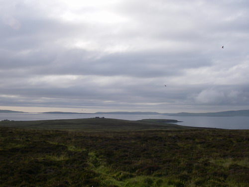 Cava, Orkney