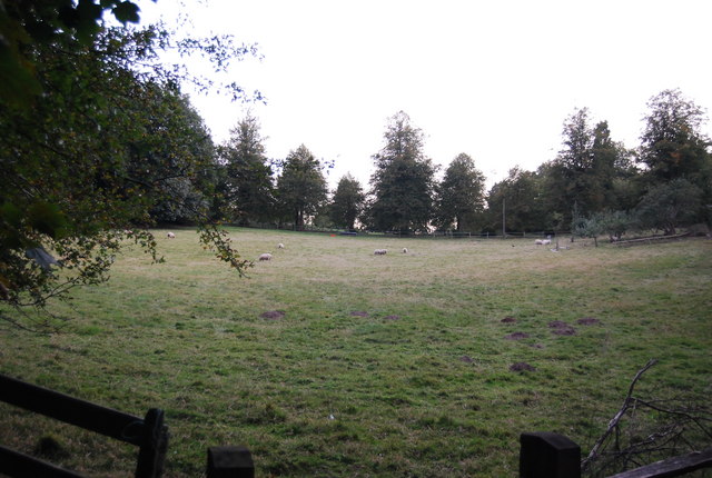 File:Clearing on the edge of Crockhamhill Common - geograph.org.uk - 1501773.jpg