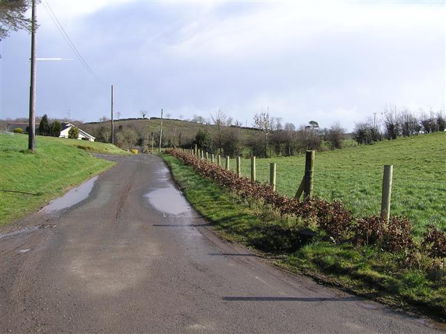 File:Dunnamona Road - geograph.org.uk - 1190353.jpg