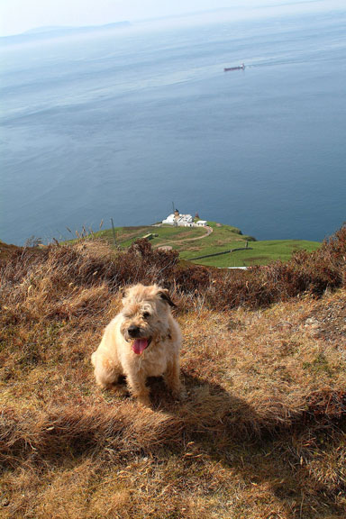 File:Emma Takes a Breather - geograph.org.uk - 1343389.jpg
