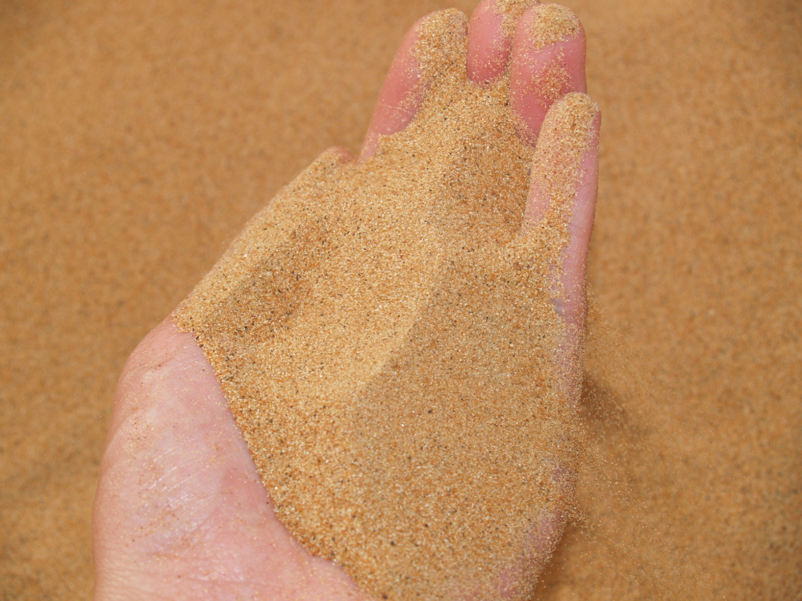 File Fine Sand Jpg Wikimedia Commons