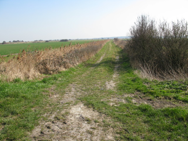 File:Footpath across Worth Minnis in the Lydden Valley - geograph.org.uk - 1239072.jpg