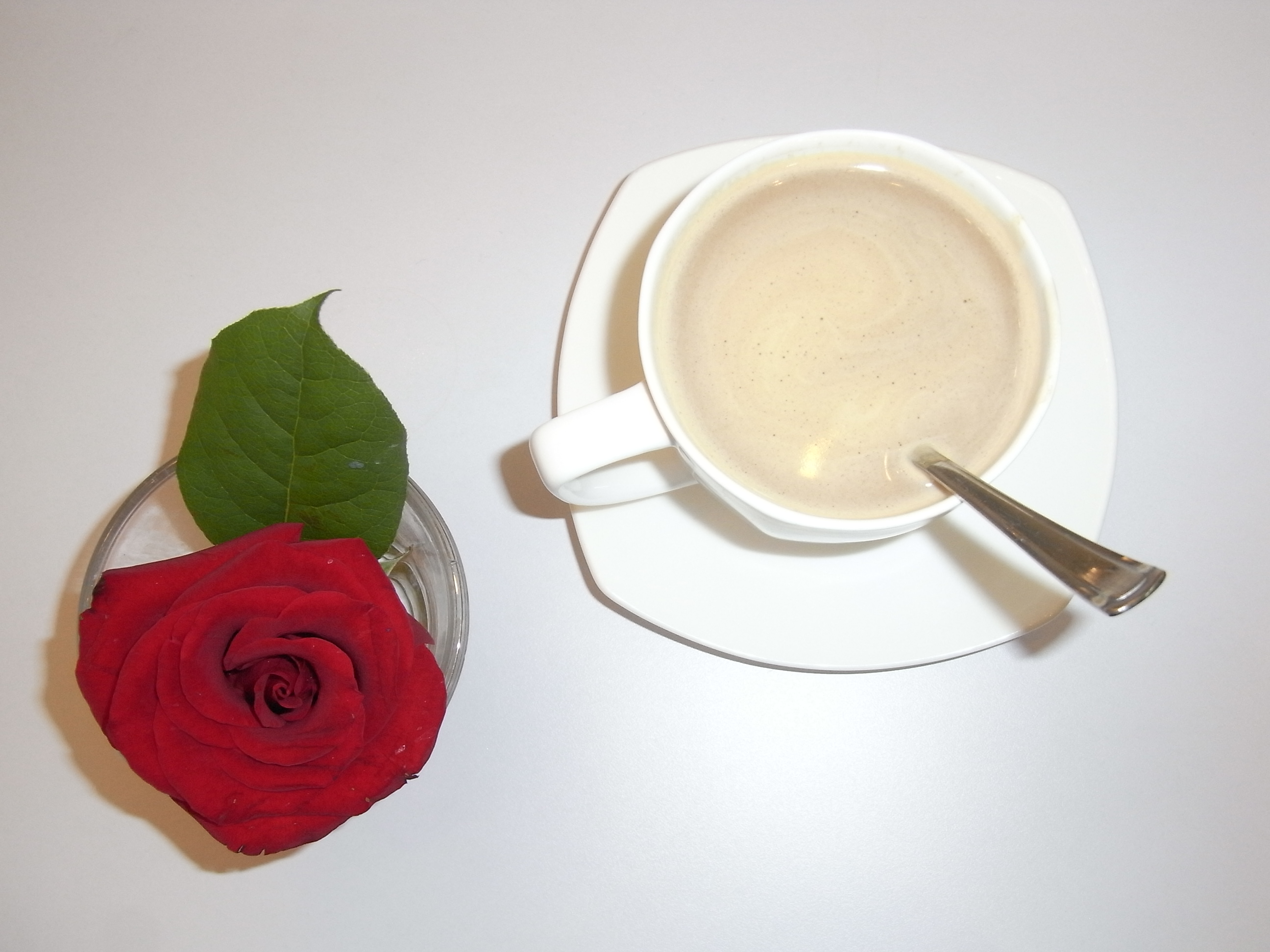 чашка кофе и роза картинки