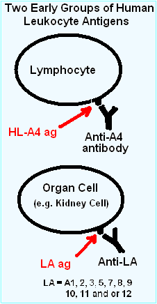 File:LAvsA4.PNG