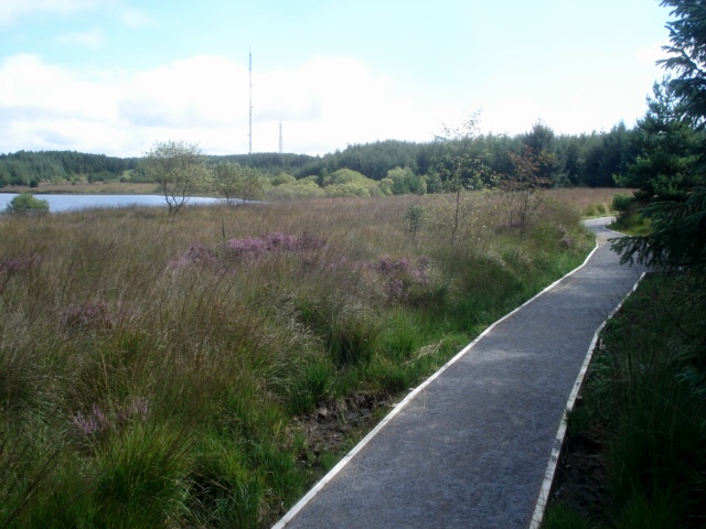 File:Lake circuit path at Llyn Llech Owen Country Park - geograph.org.uk - 539818.jpg