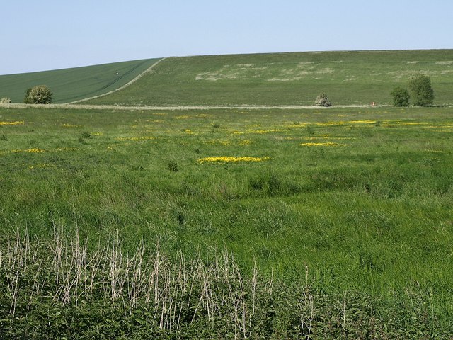 Meadow beside Silbury Hill - geograph.org.uk - 1347816