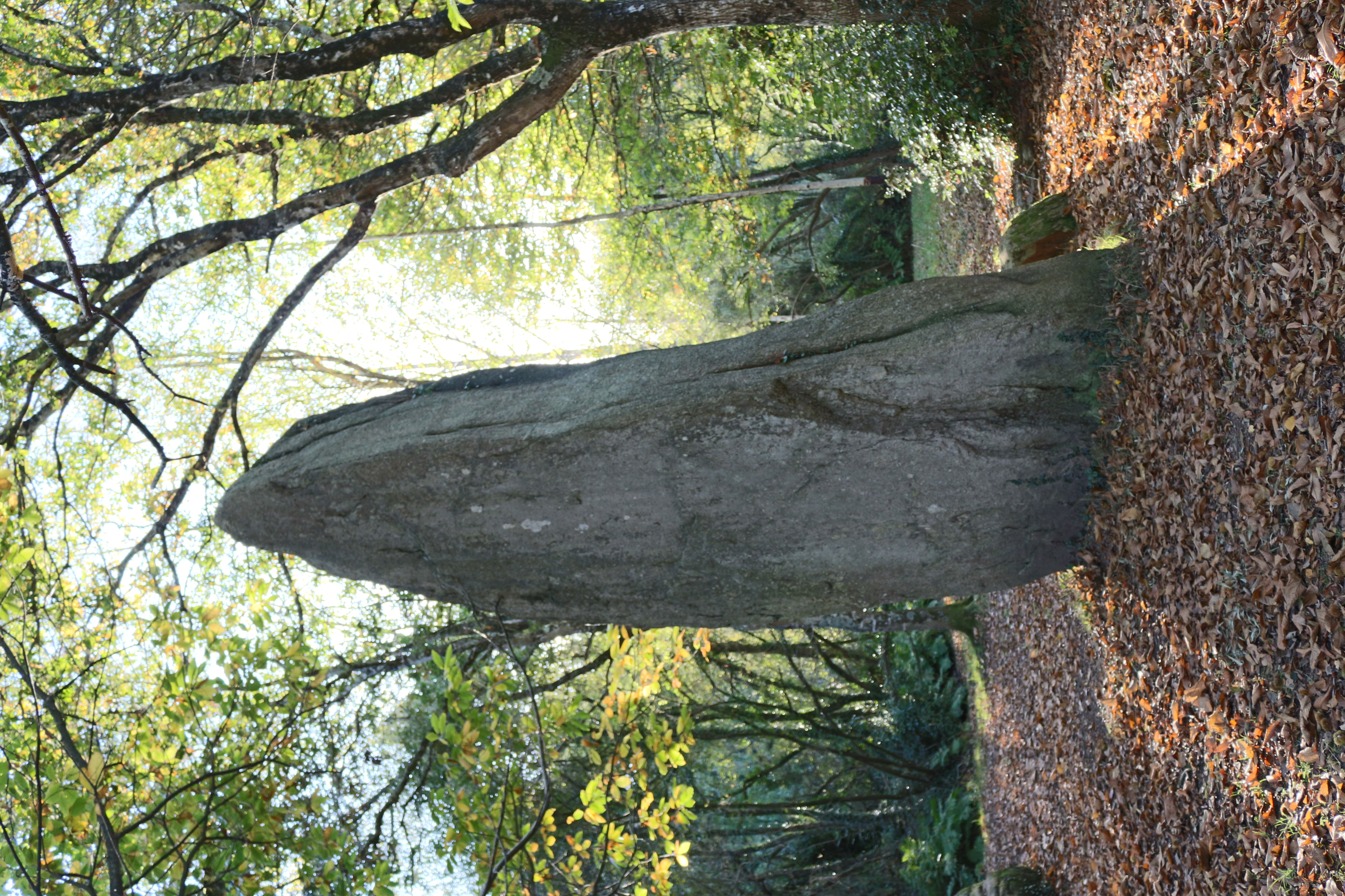 Menhirs de Lespurit Ellen  France Bretagne Finistère Plovan 29720