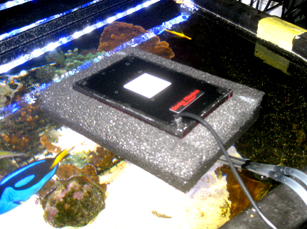 File:Modern floating surface algae scrubber filter, floating on top of aquarium.jpg