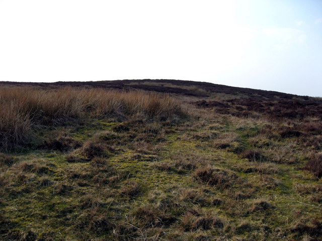 File:Moel Bengam - geograph.org.uk - 382791.jpg