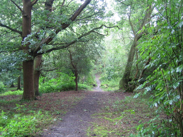 File:Monken Hadley Common - geograph.org.uk - 535139.jpg