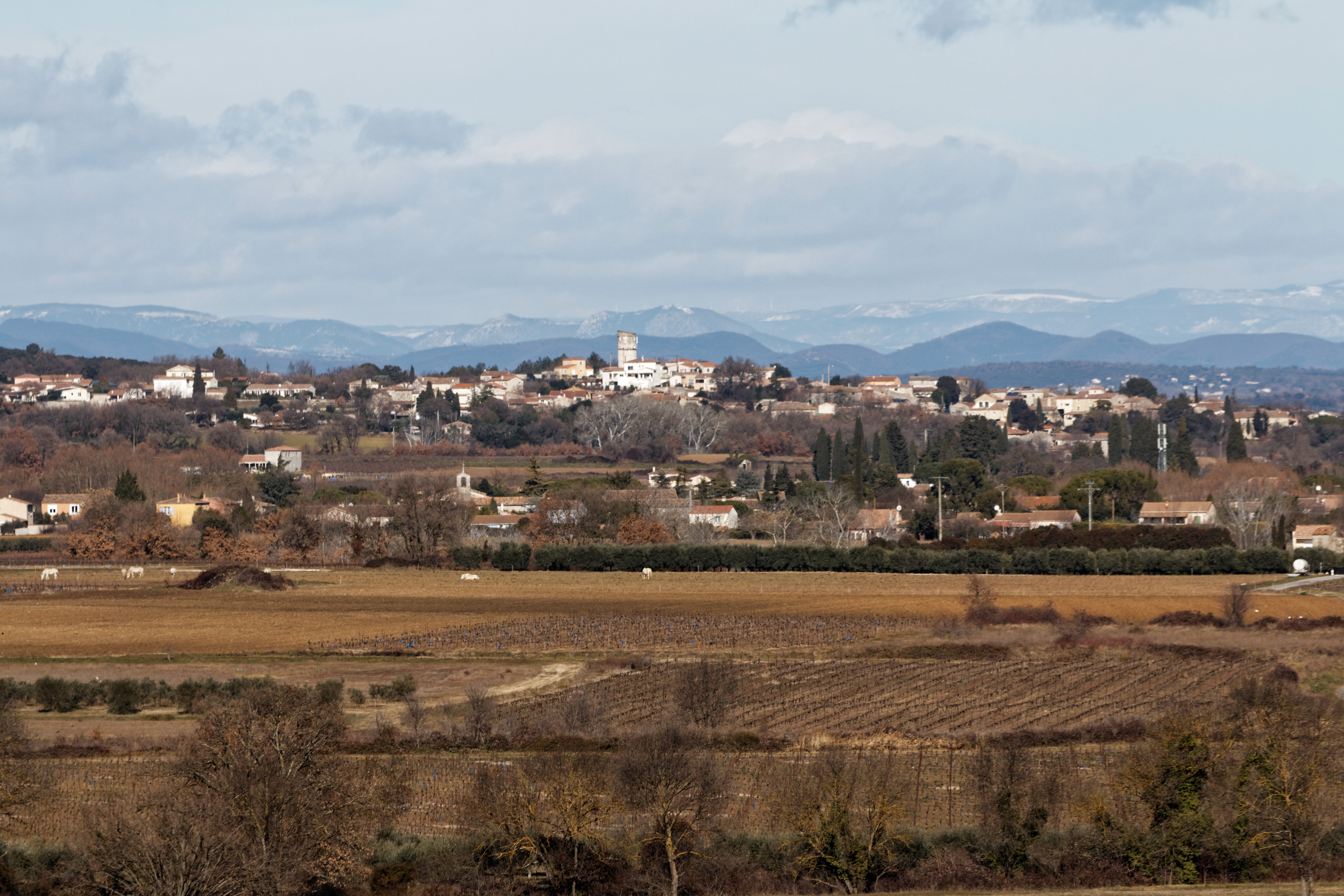 Montignargues