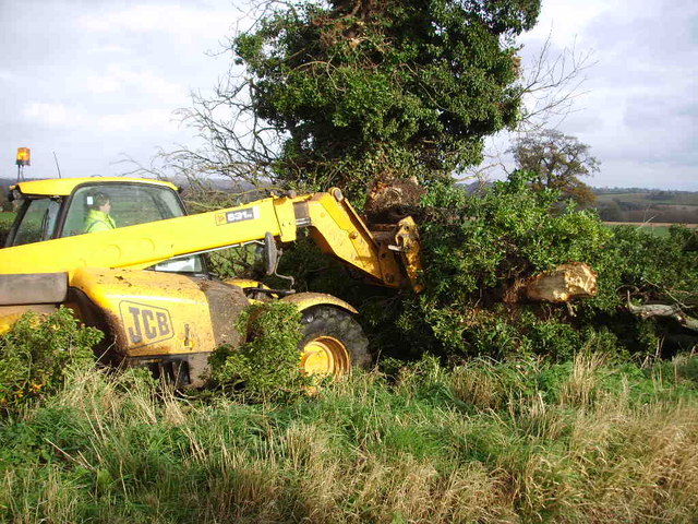 File:Moving the fallen tree - geograph.org.uk - 610081.jpg