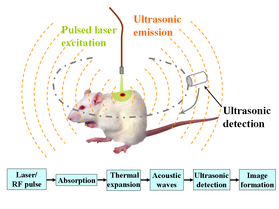 Photoacoustic imaging