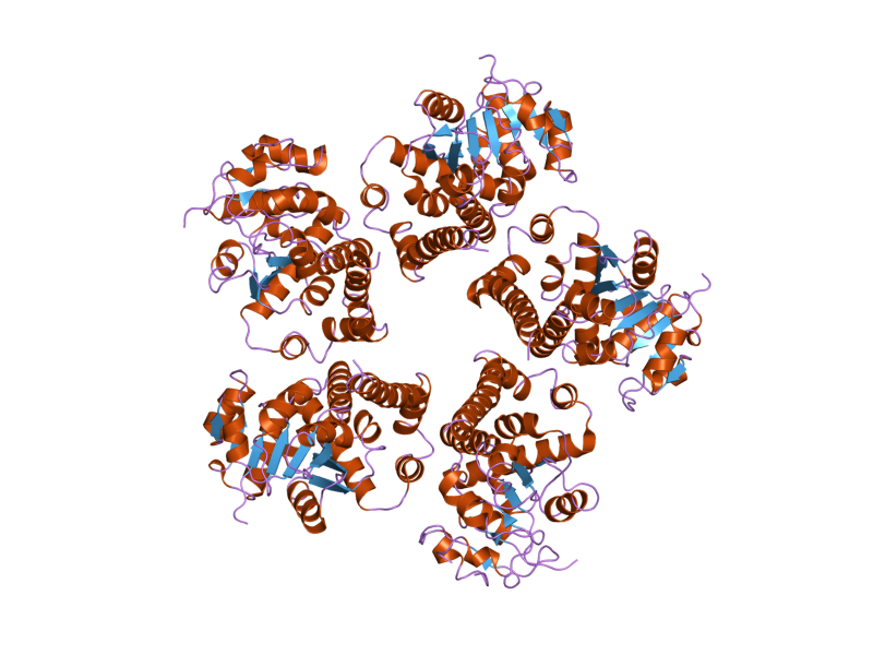 File:PDB 2ger EBI.png