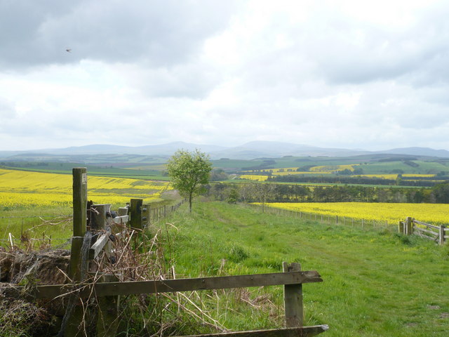 Path from St. Cuthbert's Way - geograph.org.uk - 1320349