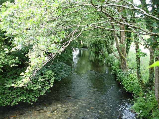 File:River Lynher - geograph.org.uk - 195940.jpg