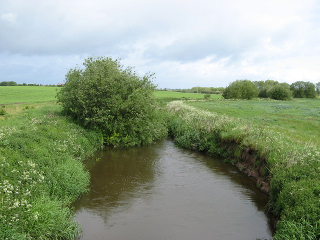 File:River Tern. - geograph.org.uk - 438009.jpg