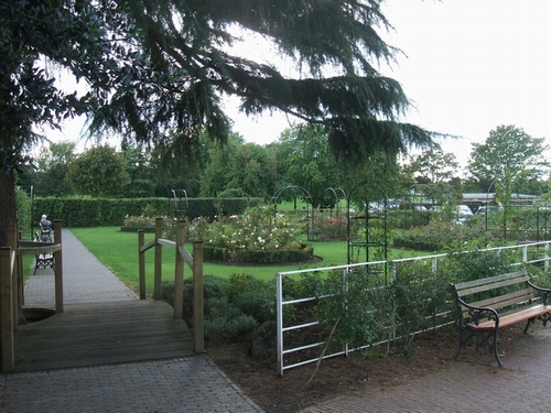 File:Rose Garden in Bantock Park - geograph.org.uk - 247034.jpg