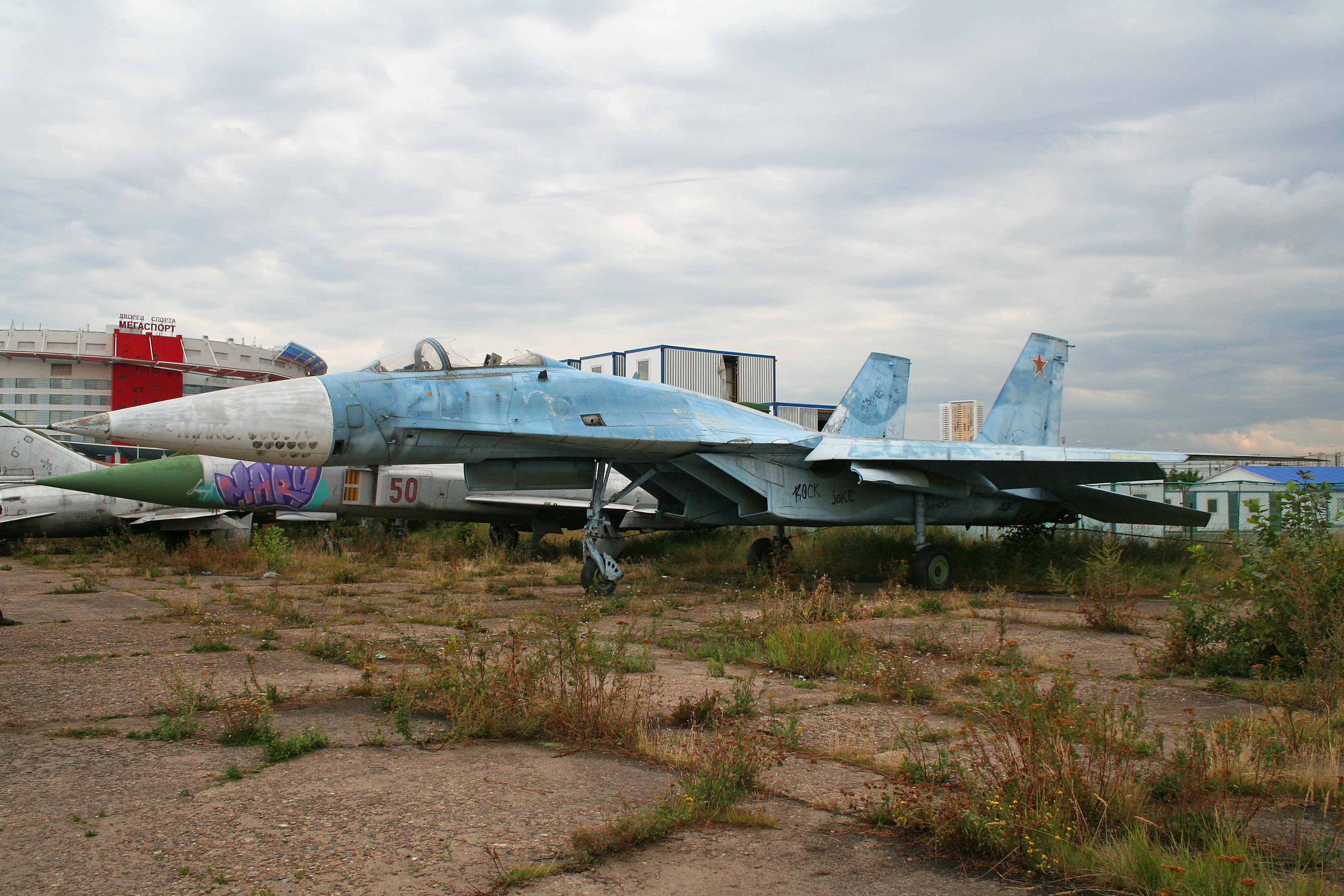 Sukhoi_T-10_Flanker-A_20_blue_%288481836527%29.jpg